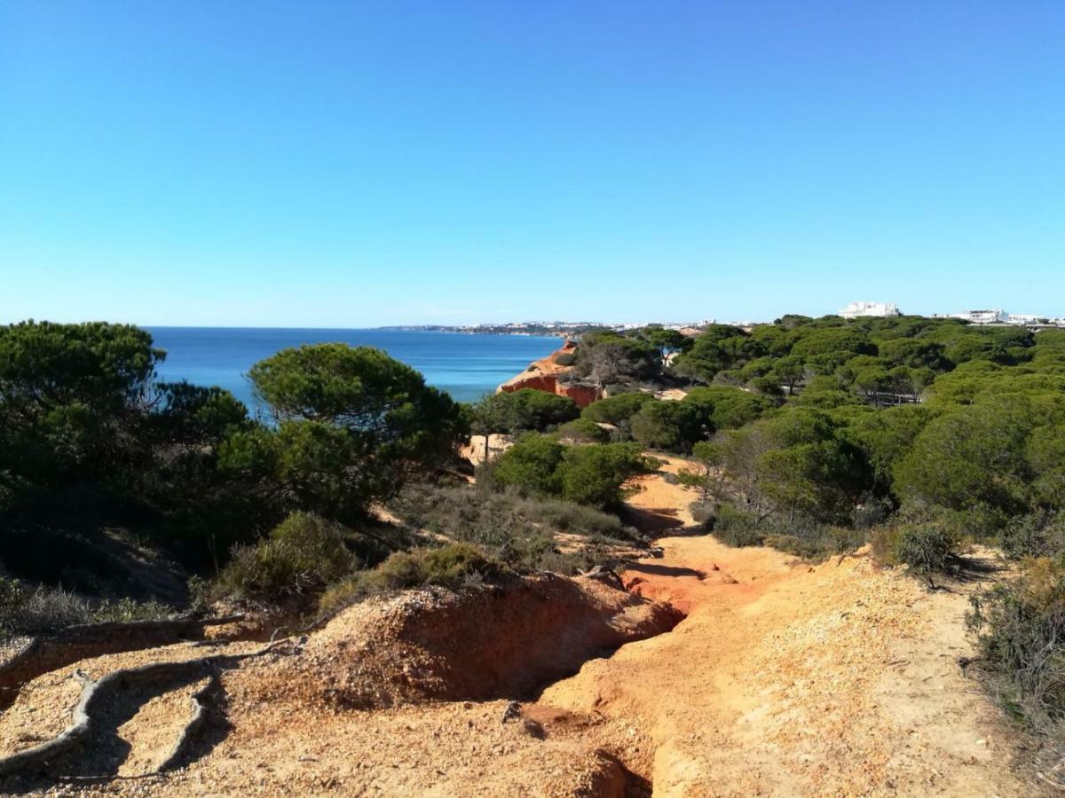 Algarve Friendly Apartment Albufeira Luaran gambar